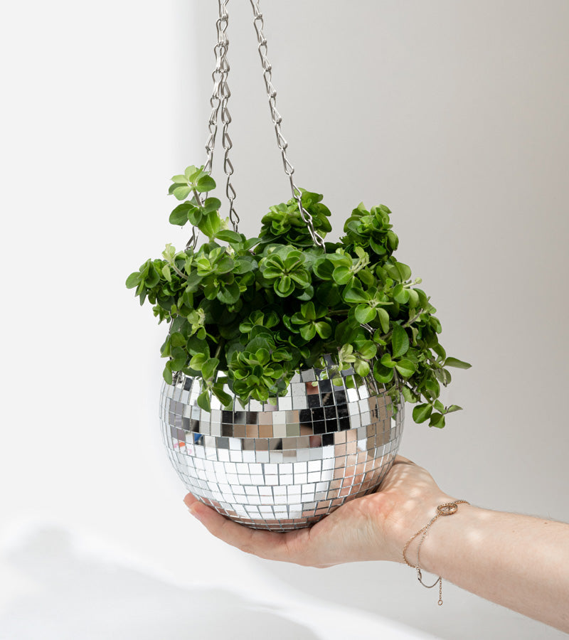 Disco blumentopf spiegelkugel