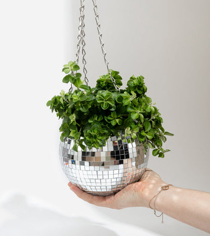 Pot de plantes disco boule à facettes 20cm  L'expressionist