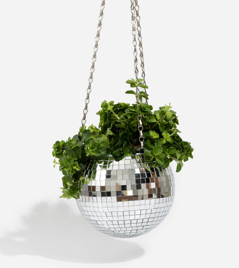 Disco blumentopf spiegelkugel