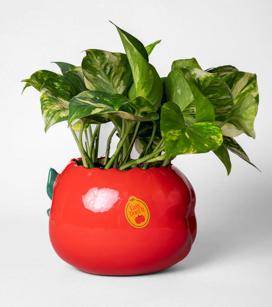 Blumentopf apfel angebissen