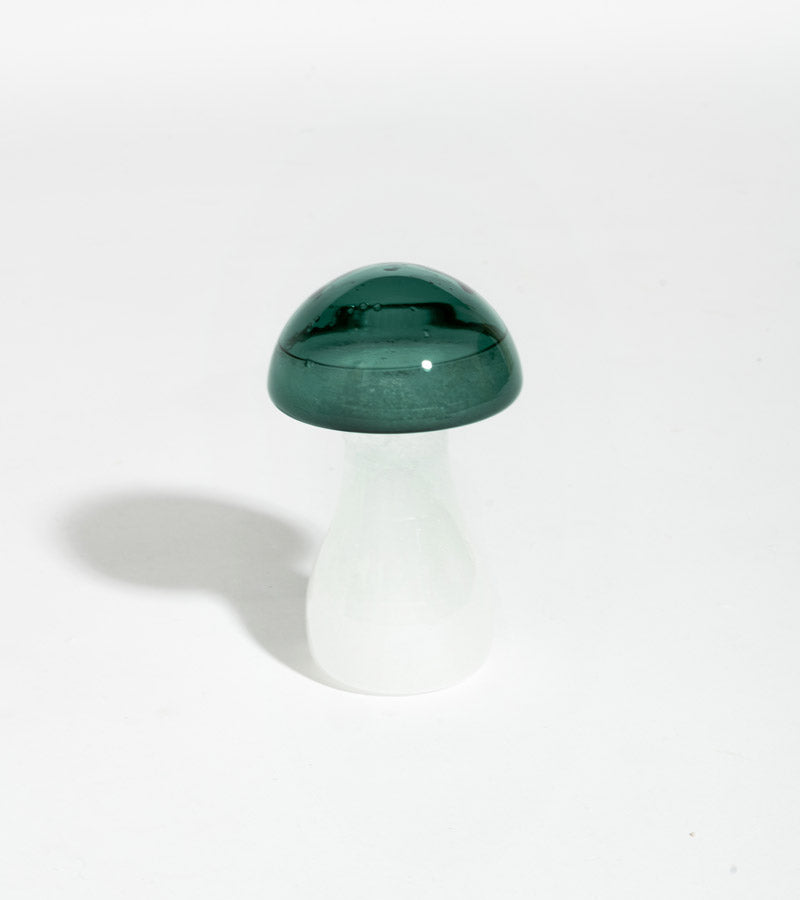 Sturmglas pilz