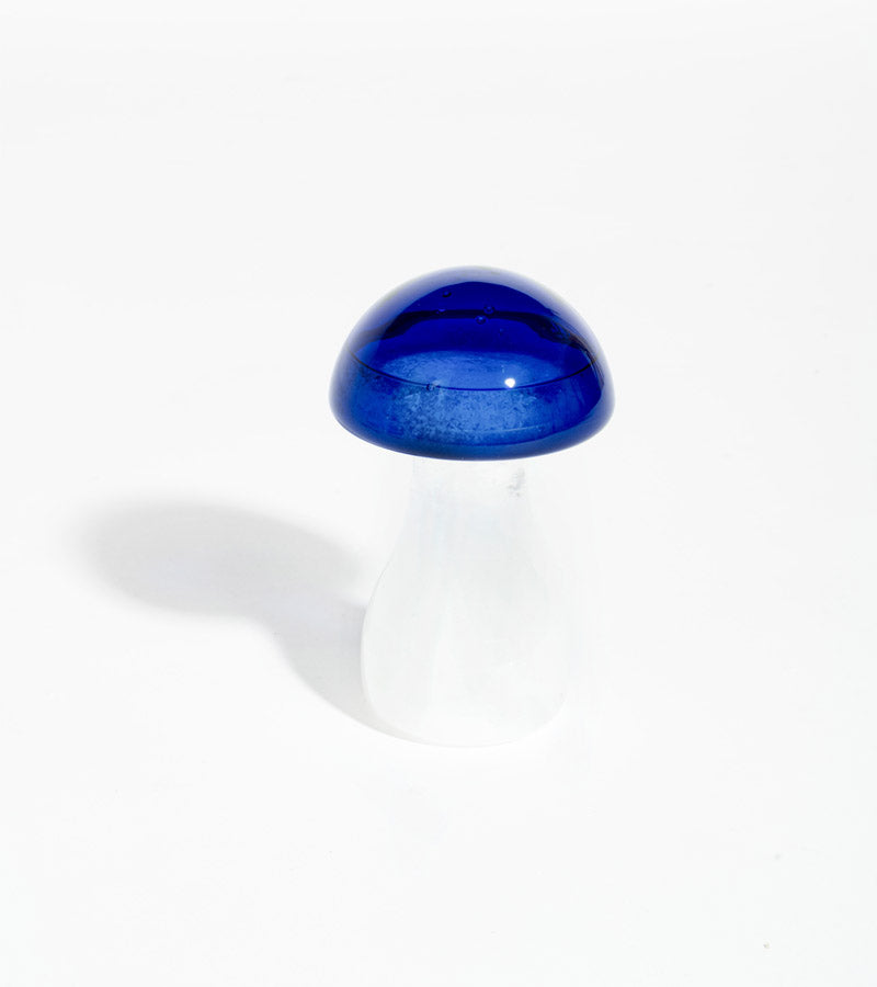 Storm glass champignon