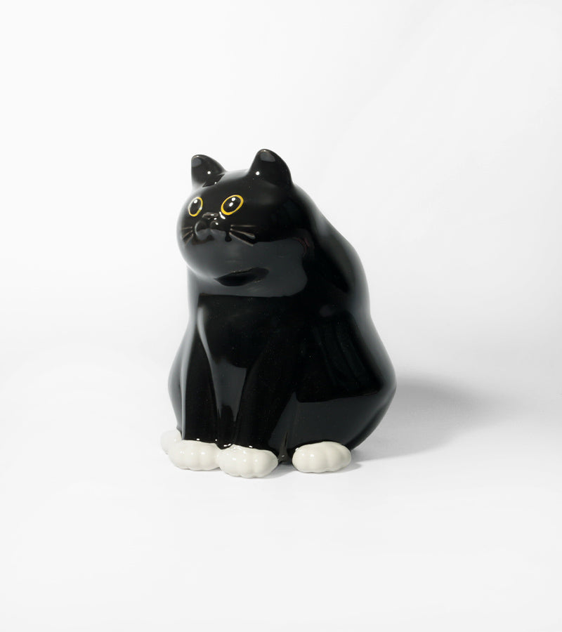 Vase katze dick