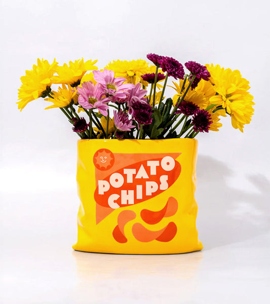 Vase chips pack