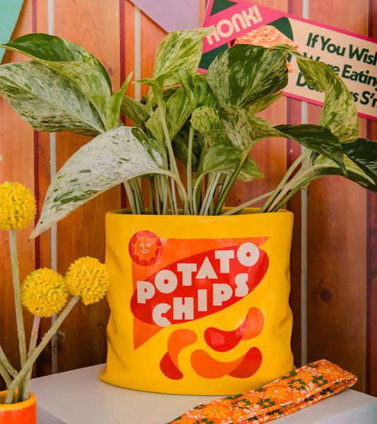 Vase chips pack