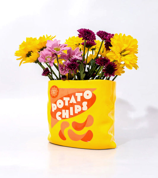 Vase chips pack