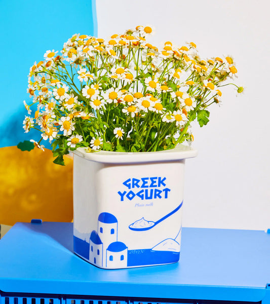 Vase joghurt griechisch