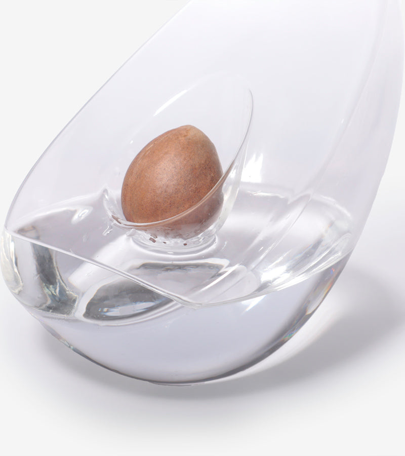 Vase für Avocadokerne