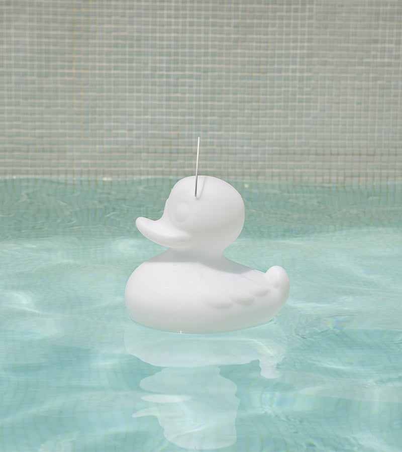 Schwimmendes Enten-Nachtlicht