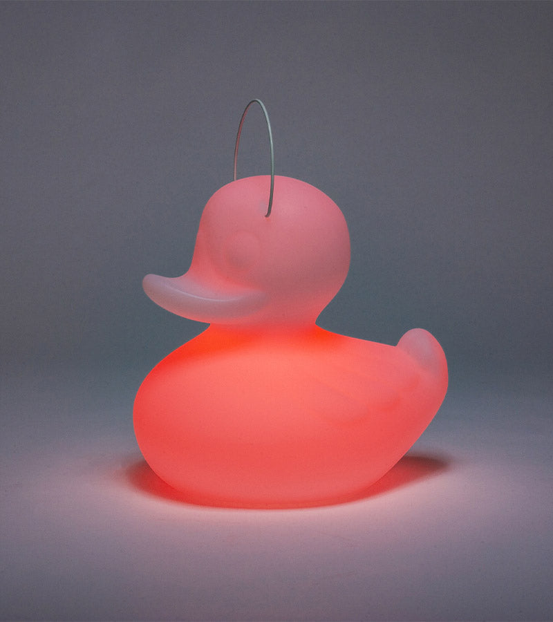 Schwimmendes Enten-Nachtlicht